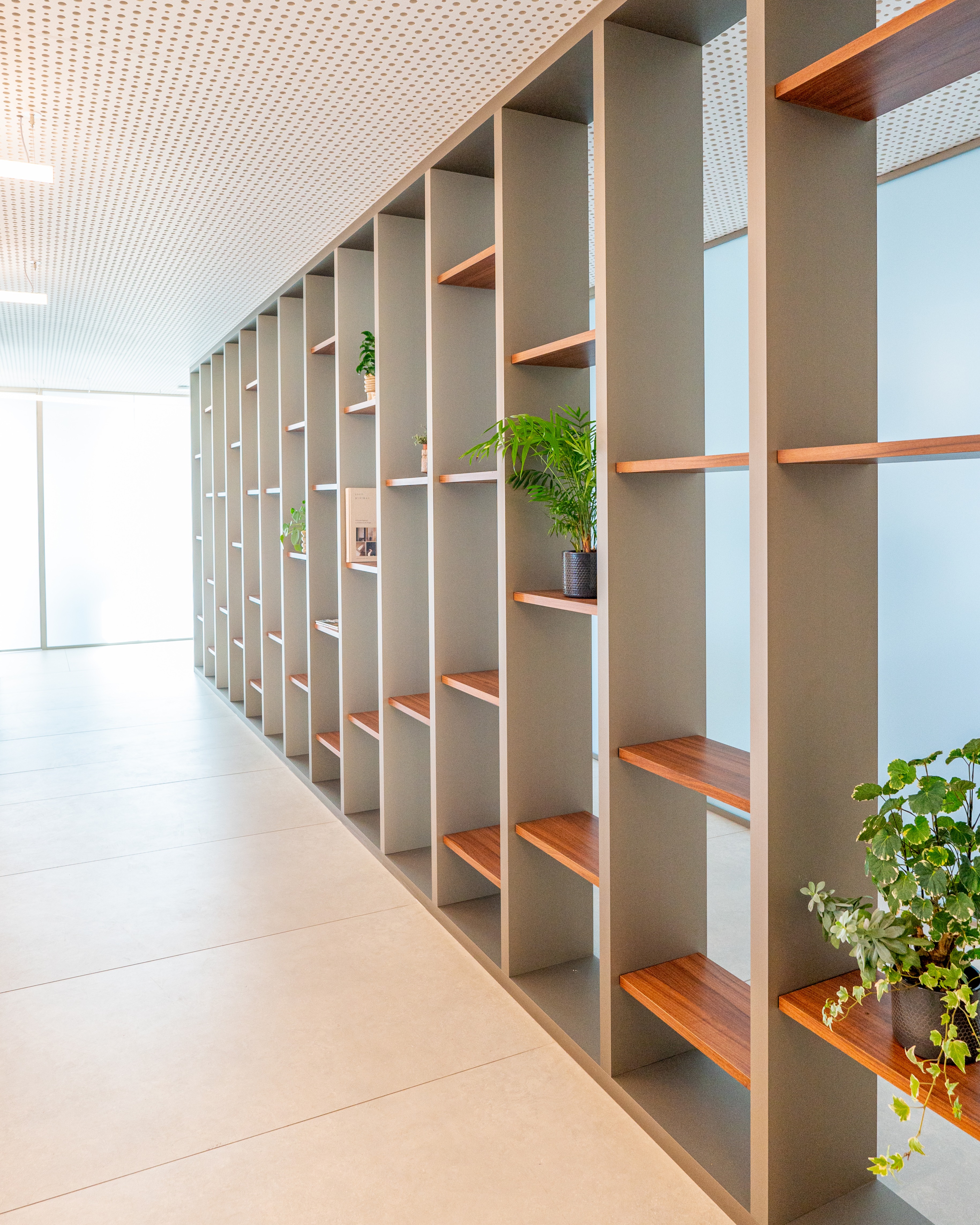 Fisioclinic 3