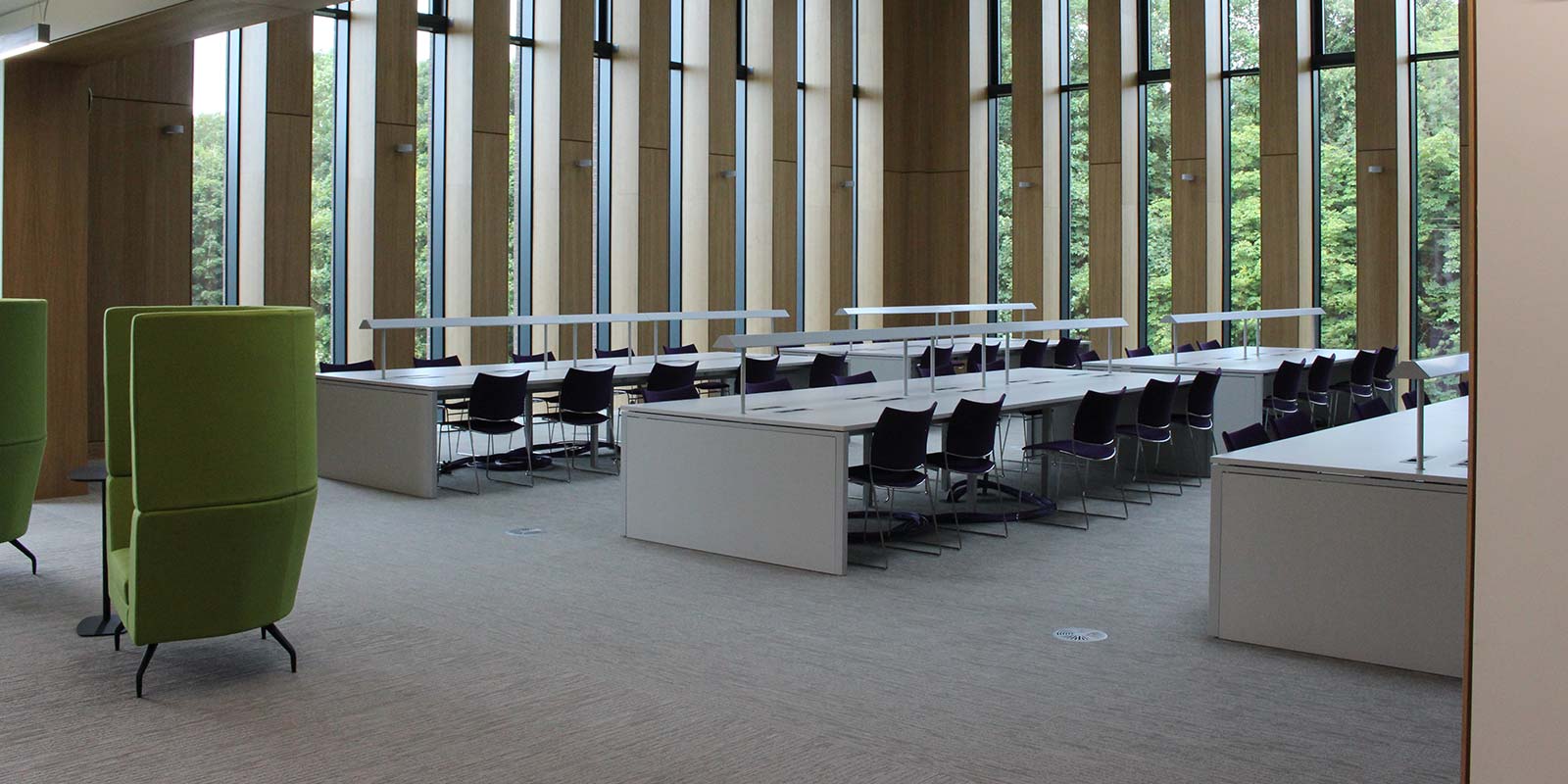 Gluckman Library 7